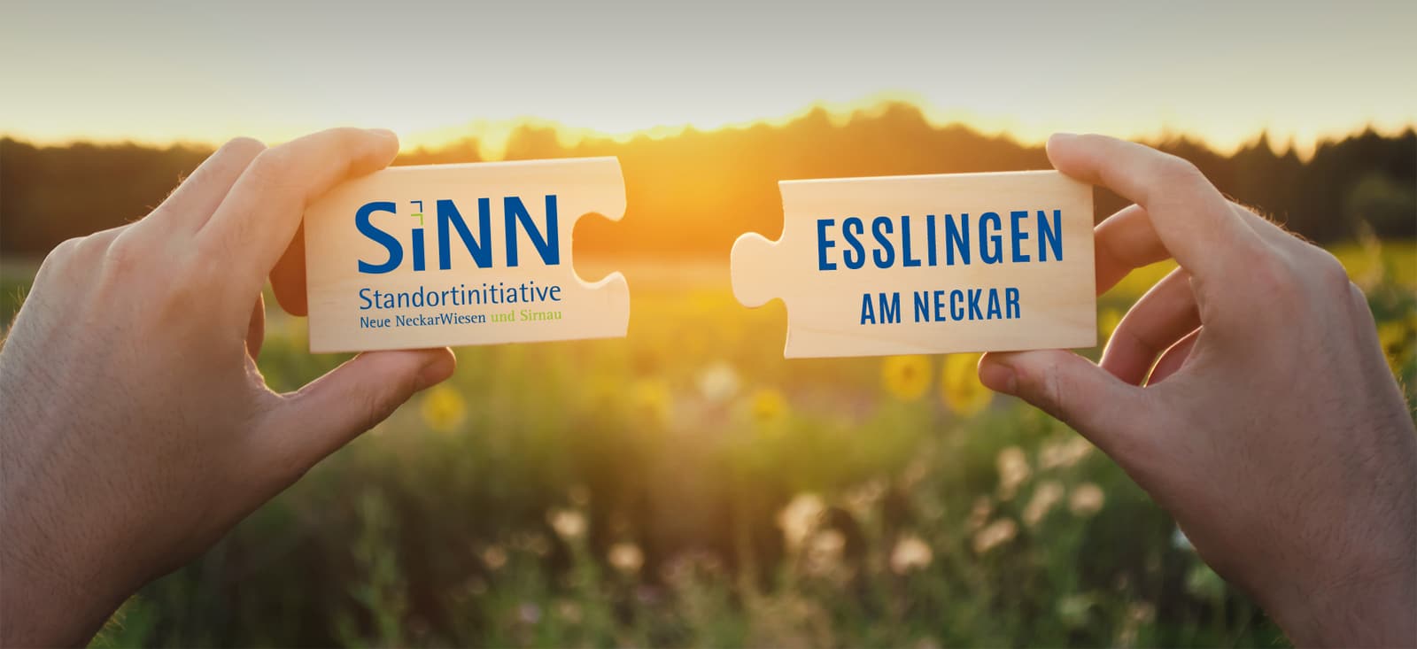 SiNN — Standortinitiative Neue NeckarWiesen und Sirnau, Esslingen am Neckar